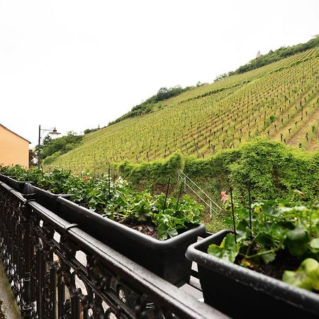 Alte Stadtvilla Am Weinberg 3 Трабен-Трарбах Екстериор снимка